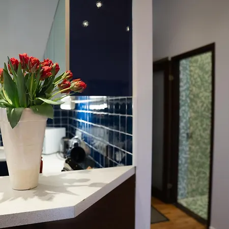 Rataskaevu 6 아파트 *