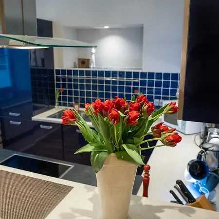 Апартаменты Rataskaevu 6