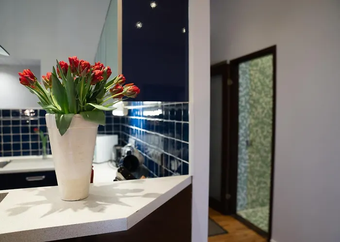 Rataskaevu 6 Апартаменты *